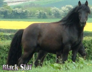Obrazek